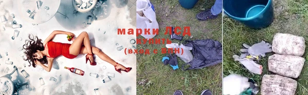 трава Богородицк