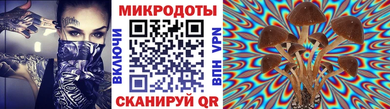 даркнет сайт  Минеральные Воды  Псилоцибиновые грибы мухоморы 